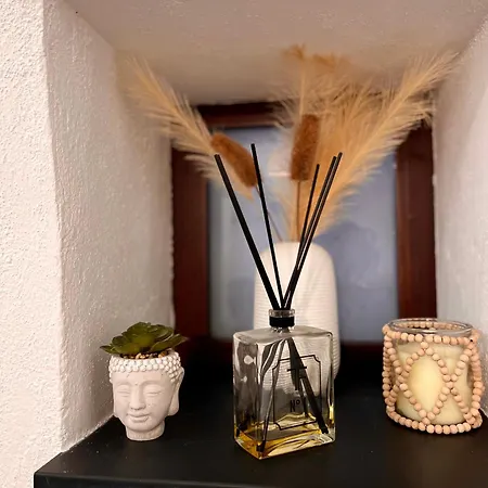 Le Petit Nid - Air Conditioning - A Few Steps From Casino And Ariston *